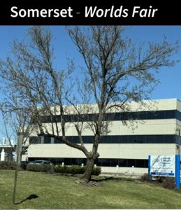 Somerset - Worlds Fair